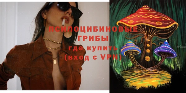 ПСИЛОЦИБИНОВЫЕ ГРИБЫ Верхний Тагил
